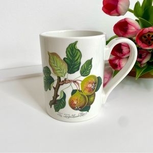 GORGEOUS British Pomona Portmeirion The Goddess Of Fruit Squash Pear Mug